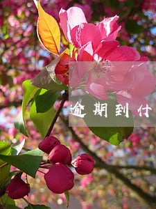 逾期到什么程度会上征信
