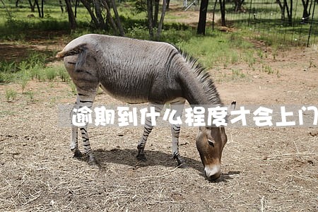 逾期到什么程度才会上门