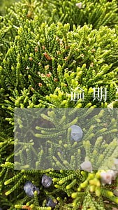 逾期到什么程度算黑户