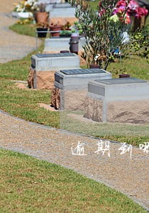 逾期到哪查询