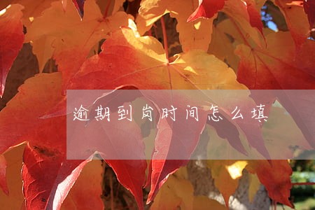 逾期到岗时间怎么填