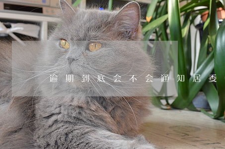 逾期到底会不会通知居委会 逾期到底会不会通知居委会