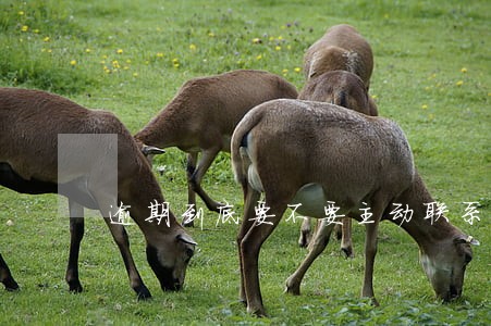 逾期到底要不要主动联系 逾期到底要不要主动联系
