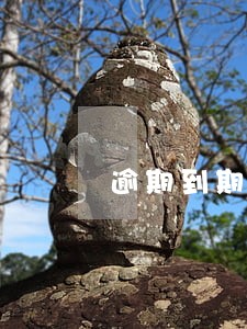 逾期到期催收通知书何时发放 逾期到期催收通知书何时发放