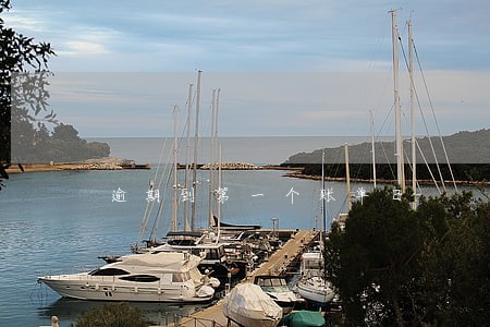 逾期到第一个账单日 逾期到第一个账单日