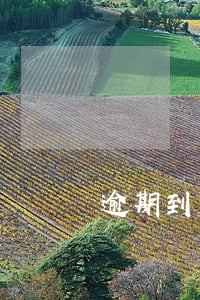 逾期到第二个账单日 逾期到第二个账单日