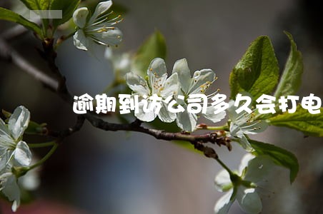 逾期到访公司多久会打电话 逾期到访公司多久会打电话