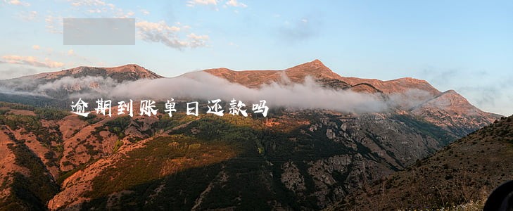 逾期到账单日还款吗 逾期到账单日还款吗