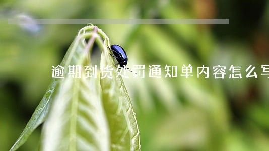 逾期到货处罚通知单内容怎么写 逾期到货处罚通知单内容怎么写