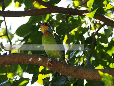 逾期到货通知书 逾期到货通知书