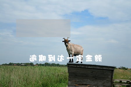逾期到达一定金额 逾期到达一定金额