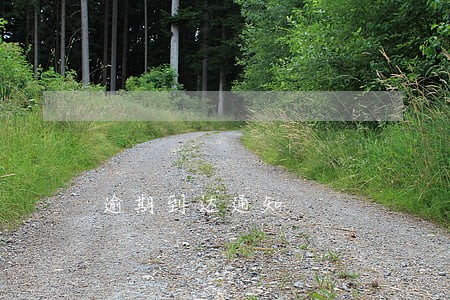 逾期到达通知 逾期到达通知