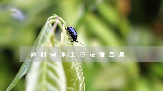 逾期制度工资法律后果 逾期制度工资法律后果