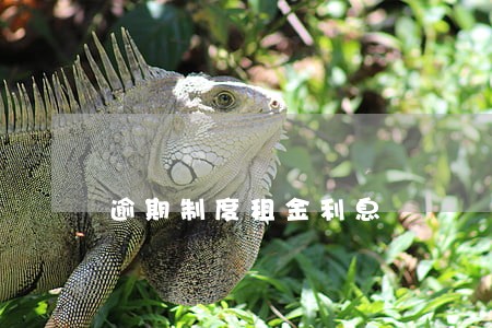 逾期制度租金利息 逾期制度租金利息