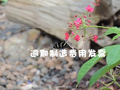 逾期制造费用发票 逾期制造费用发票