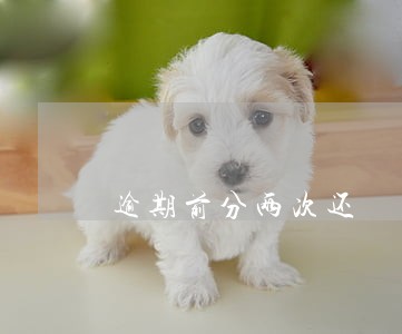 逾期前分两次还