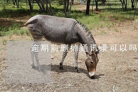 逾期前删掉通讯录可以吗 逾期前删掉通讯录可以吗