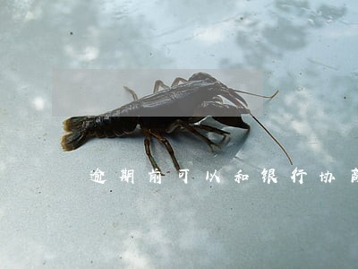 逾期前可以和银行协商吗 逾期前可以和银行协商吗