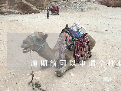逾期前可以申请个性化分期吗 逾期前可以申请个性化分期吗