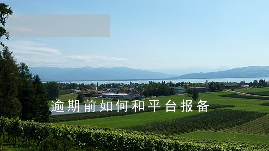 逾期前如何和平台报备 逾期前如何和平台报备