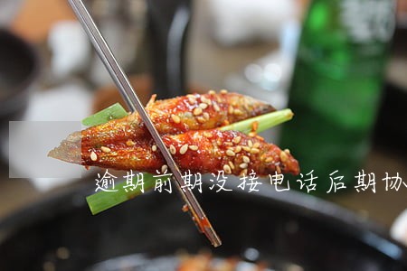 逾期前期没接电话后期协商
