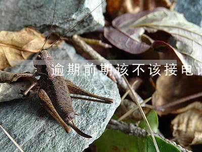 逾期前期该不该接电话 逾期前期该不该接电话