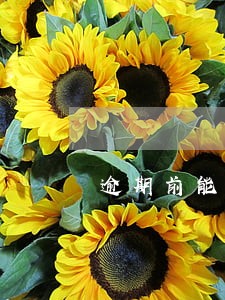 逾期前能否协商停息还本
