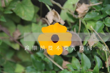 逾期前要不要先投诉一波 逾期前要不要先投诉一波
