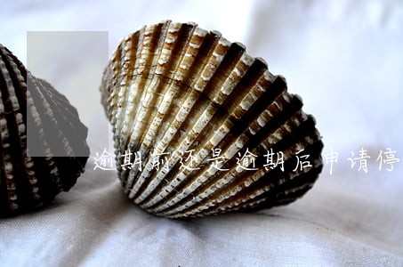 逾期前还是逾期后申请停息还款 逾期前还是逾期后申请停息还款