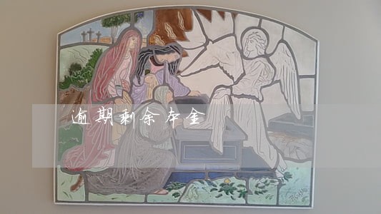 逾期剩余本金 逾期剩余本金