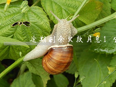 逾期剩余欠款月息1分 逾期剩余欠款月息1分