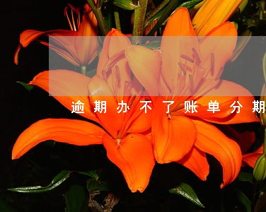 逾期办不了账单分期 逾期办不了账单分期