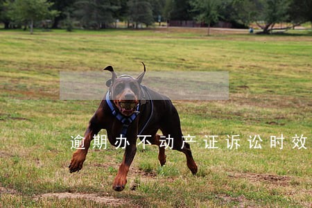 逾期办不动产证诉讼时效 逾期办不动产证诉讼时效