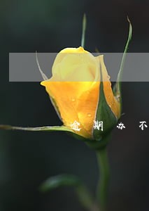 逾期办不动产证违约金什么时候 逾期办不动产证违约金什么时候