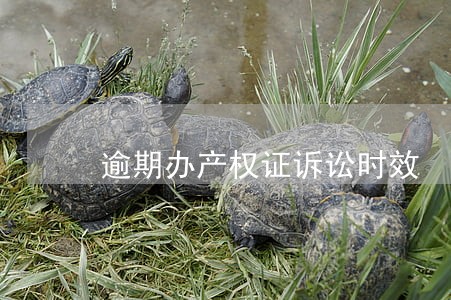 逾期办产权证诉讼时效 逾期办产权证诉讼时效