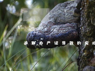逾期办产证导致的实际损失 逾期办产证导致的实际损失