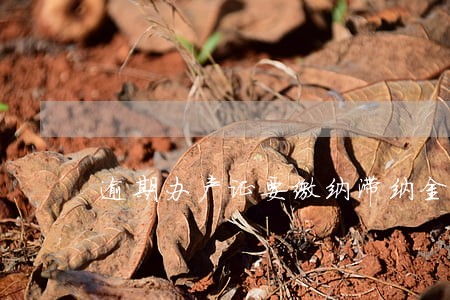 逾期办产证要缴纳滞纳金吗 逾期办产证要缴纳滞纳金吗