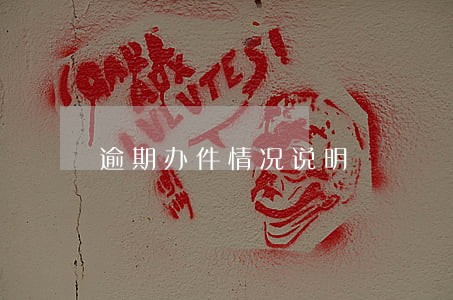 逾期办件情况说明 逾期办件情况说明