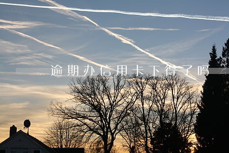 逾期办信用卡下得了吗