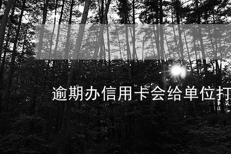 逾期办信用卡会给单位打电话吗 逾期办信用卡会给单位打电话吗