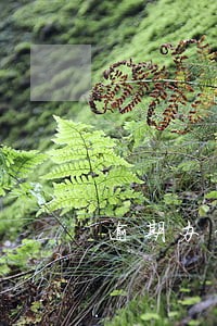 逾期办信用卡好办吗 逾期办信用卡好办吗