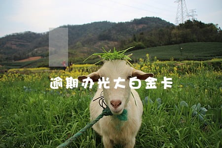 逾期办光大白金卡