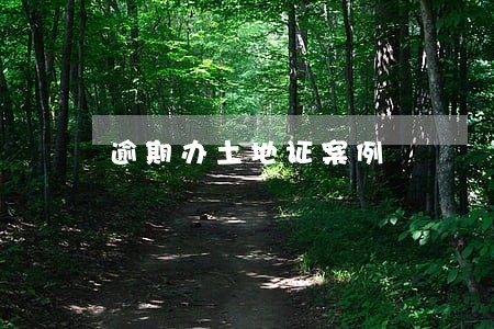 逾期办土地证案例 逾期办土地证案例