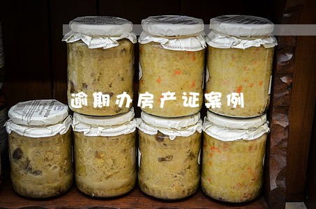 逾期办房产证案例 逾期办房产证案例