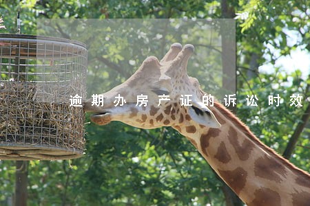 逾期办房产证的诉讼时效 逾期办房产证的诉讼时效