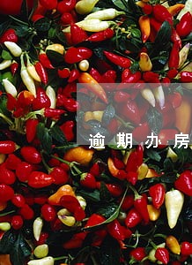 逾期办房产证要罚款吗 逾期办房产证要罚款吗