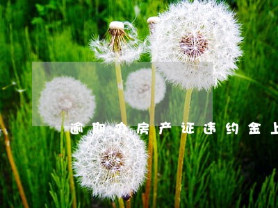 逾期办房产证违约金上诉状 逾期办房产证违约金上诉状
