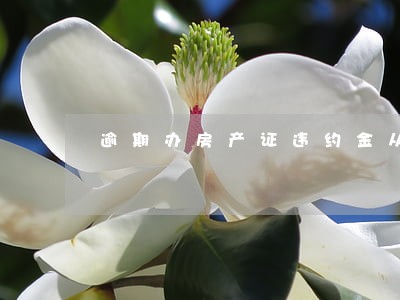 逾期办房产证违约金从何计算 逾期办房产证违约金从何计算