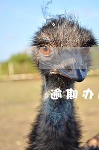 逾期办房产证违约金多少合适 逾期办房产证违约金多少合适