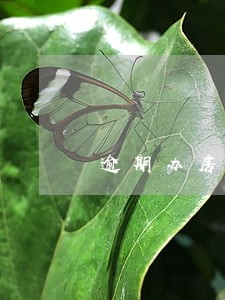 逾期办房产证违约金的法定标准 逾期办房产证违约金的法定标准